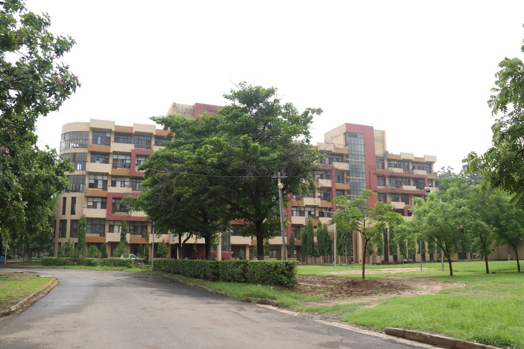 WhatsApp Image 2025-10-17 at 6.26.40 AM (2)