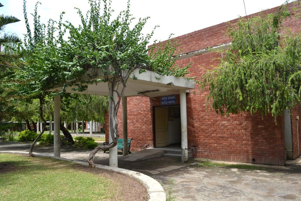 WhatsApp Image 2025-10-17 at 6.26.41 AM