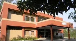 WhatsApp Image 2025-10-17 at 6.35.29 AM